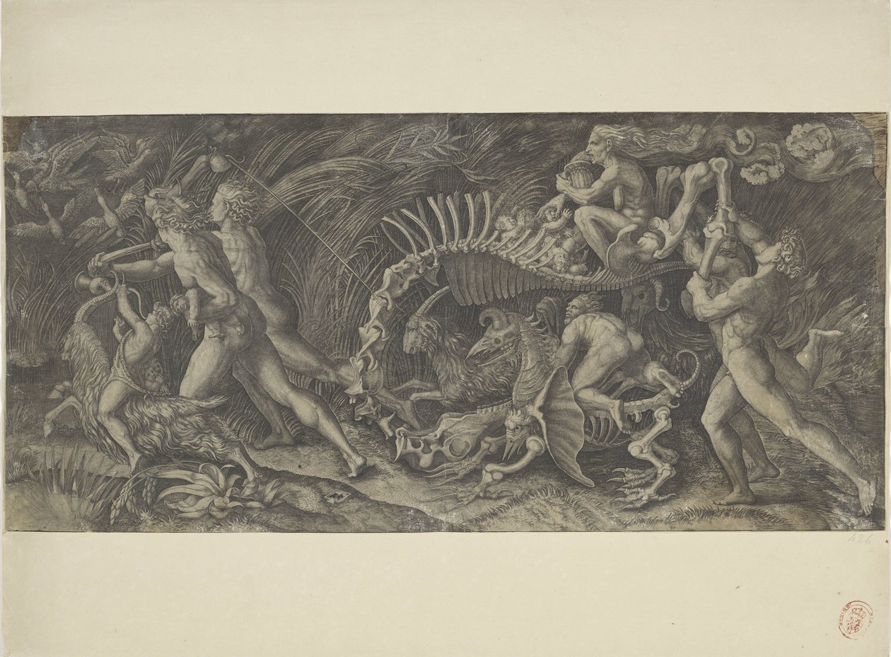 Het karkas A stregozzo alkotó: Agostino Veneziano