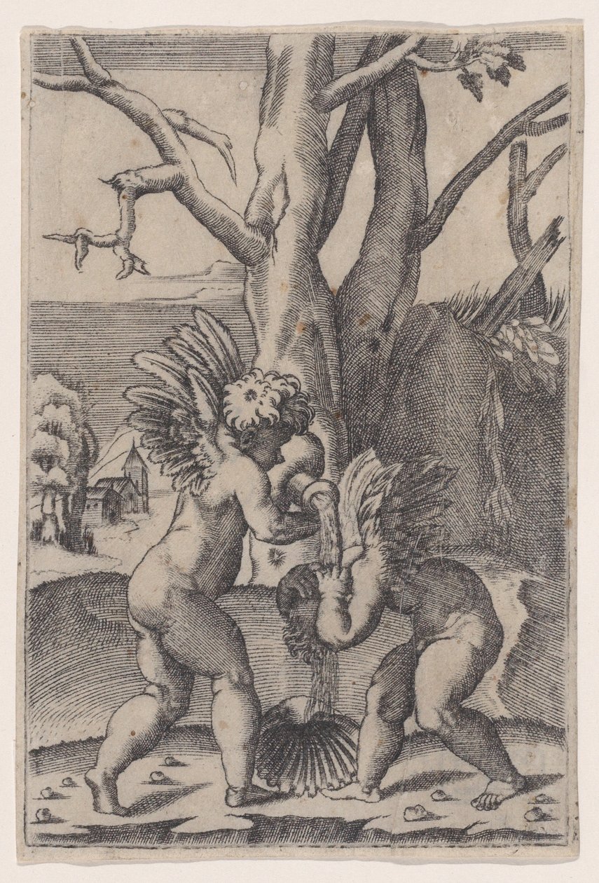 Két Cupido, kb. 1519. alkotó: Agostino Veneziano