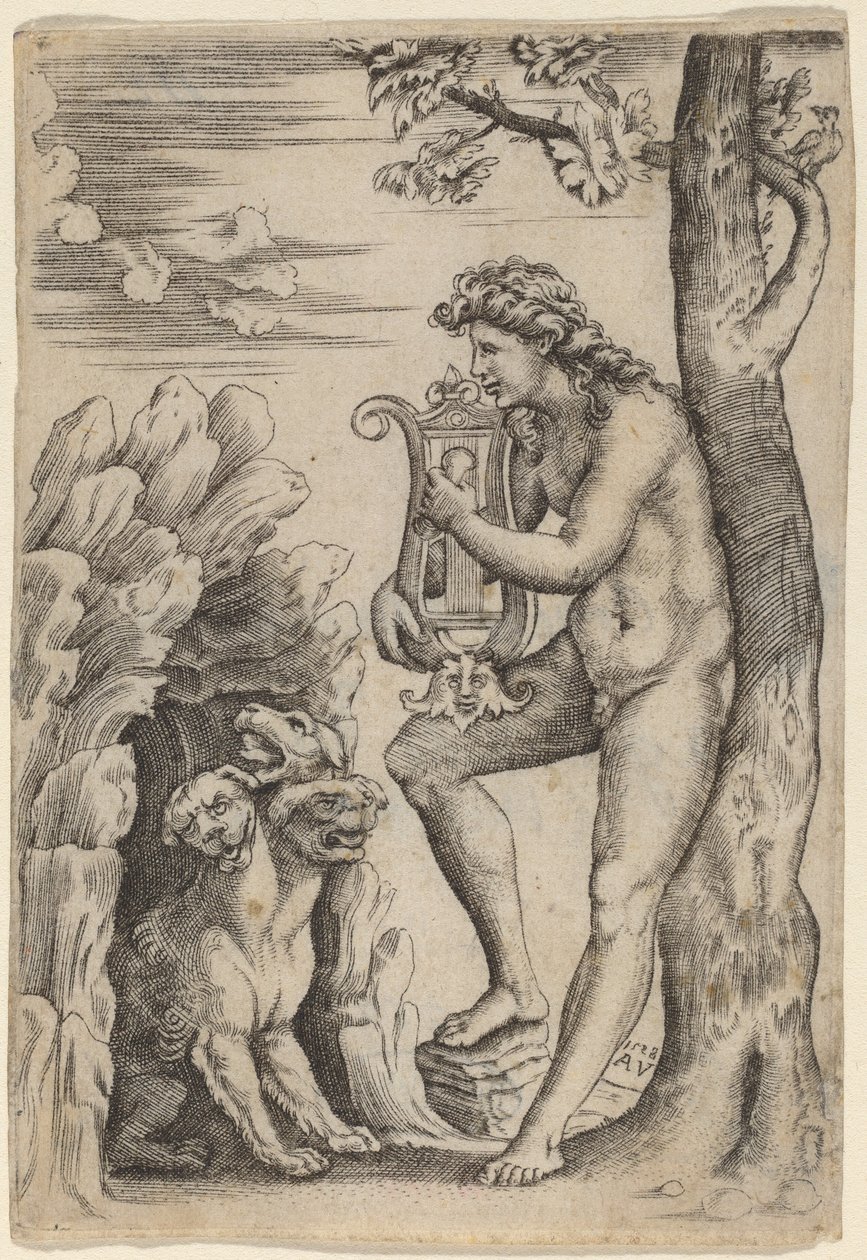 Orfeusz alkotó: Agostino dei Musi