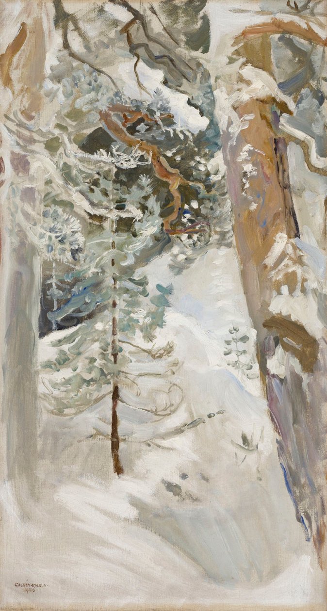 Havas táj alkotó: Akseli Gallen-Kallela