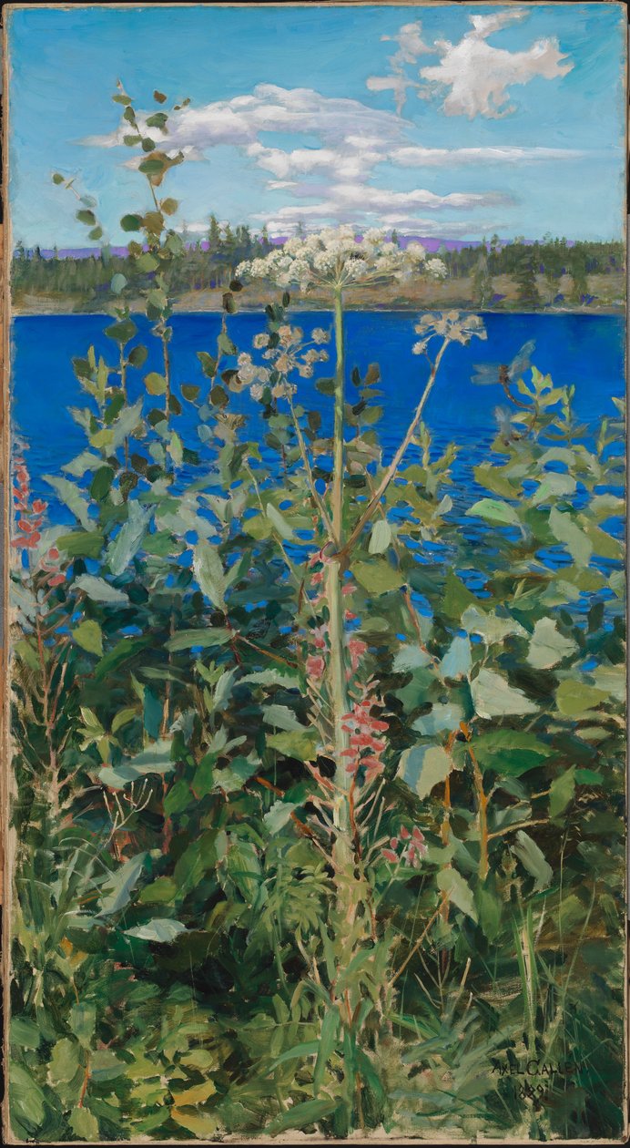 Erdei angyalgyökér alkotó: Akseli Gallen-Kallela