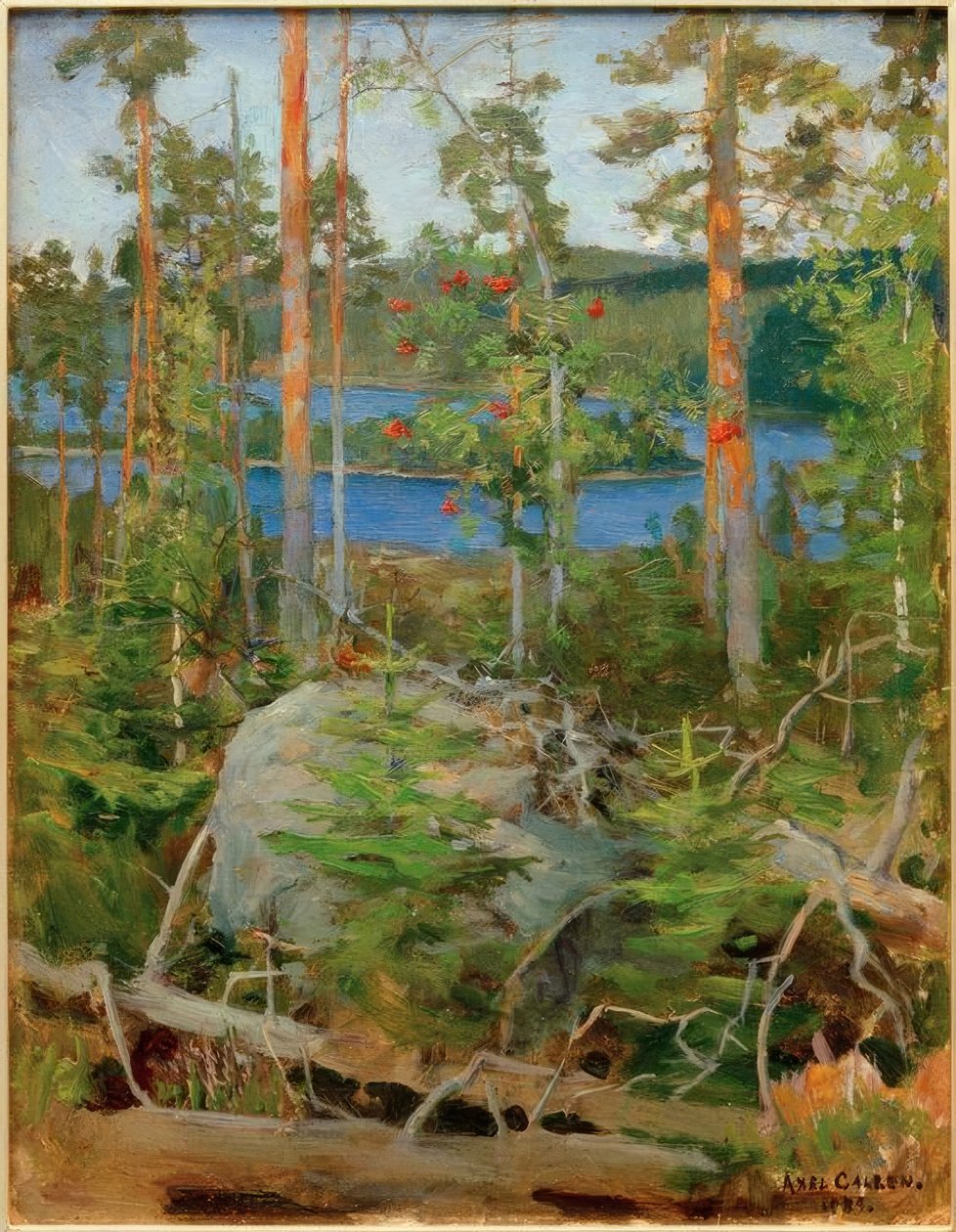 Kilátás a Jamajärvi-tóra alkotó: Akseli Valdemar Gallen Kallela