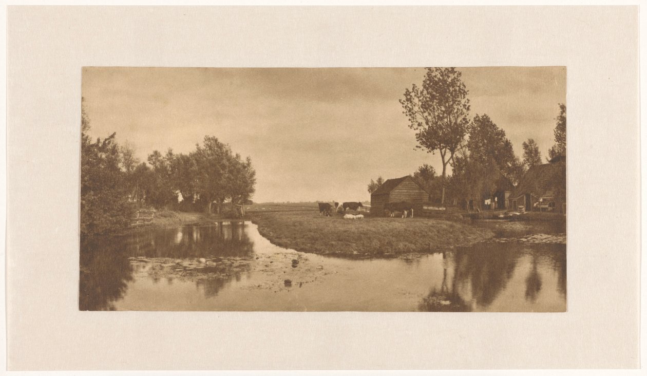 Táj farm és szarvasmarha a vízen, (Észak-Hollandia?), Hollandia alkotó: Alb. Kapteijn