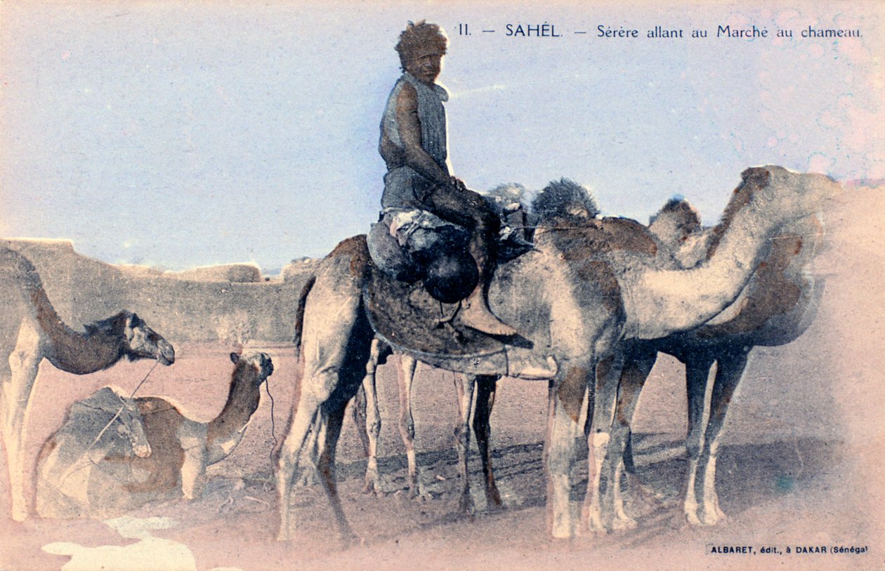 Serere, Száhel, Szenegál, XX. század alkotó: Albaret