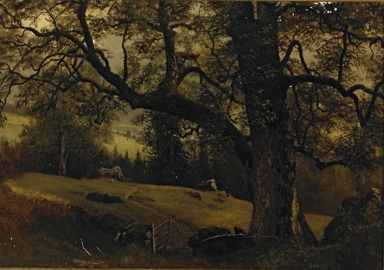 Út a fák között alkotó: Albert Bierstadt
