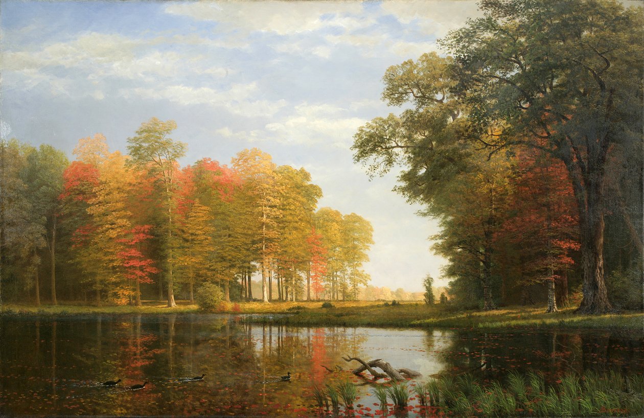 Autumn Woods, 1886 (olaj, vászon) alkotó: Albert Bierstadt
