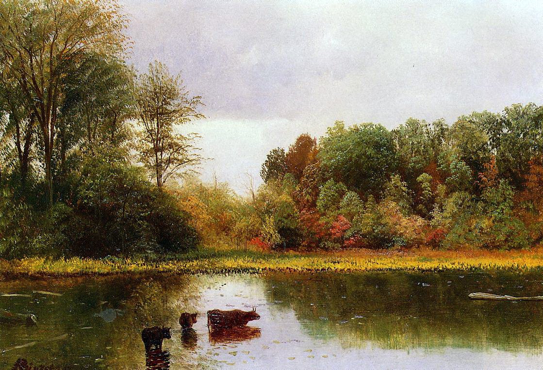 Tehenek öntözés Tájkép alkotó: Albert Bierstadt
