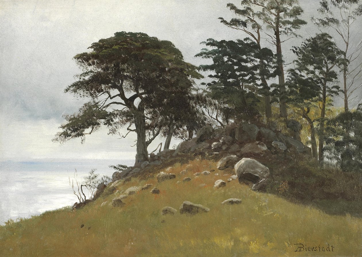 Cypress Point, Monterey alkotó: Albert Bierstadt