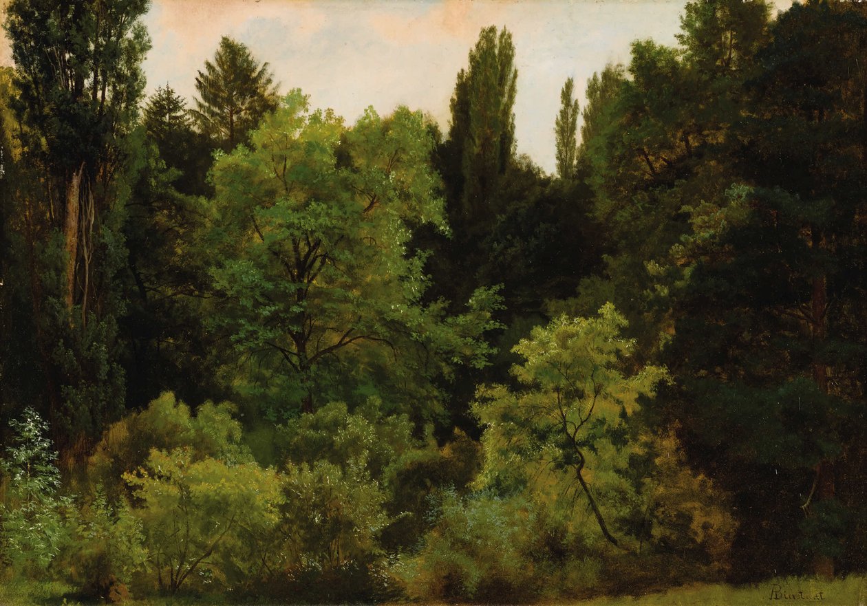 A Sziklás -hegység mélyén alkotó: Albert Bierstadt