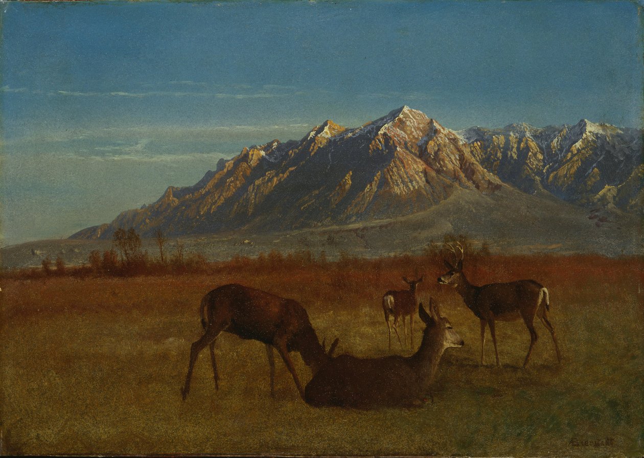Szarvas a hegyi otthonban alkotó: Albert Bierstadt