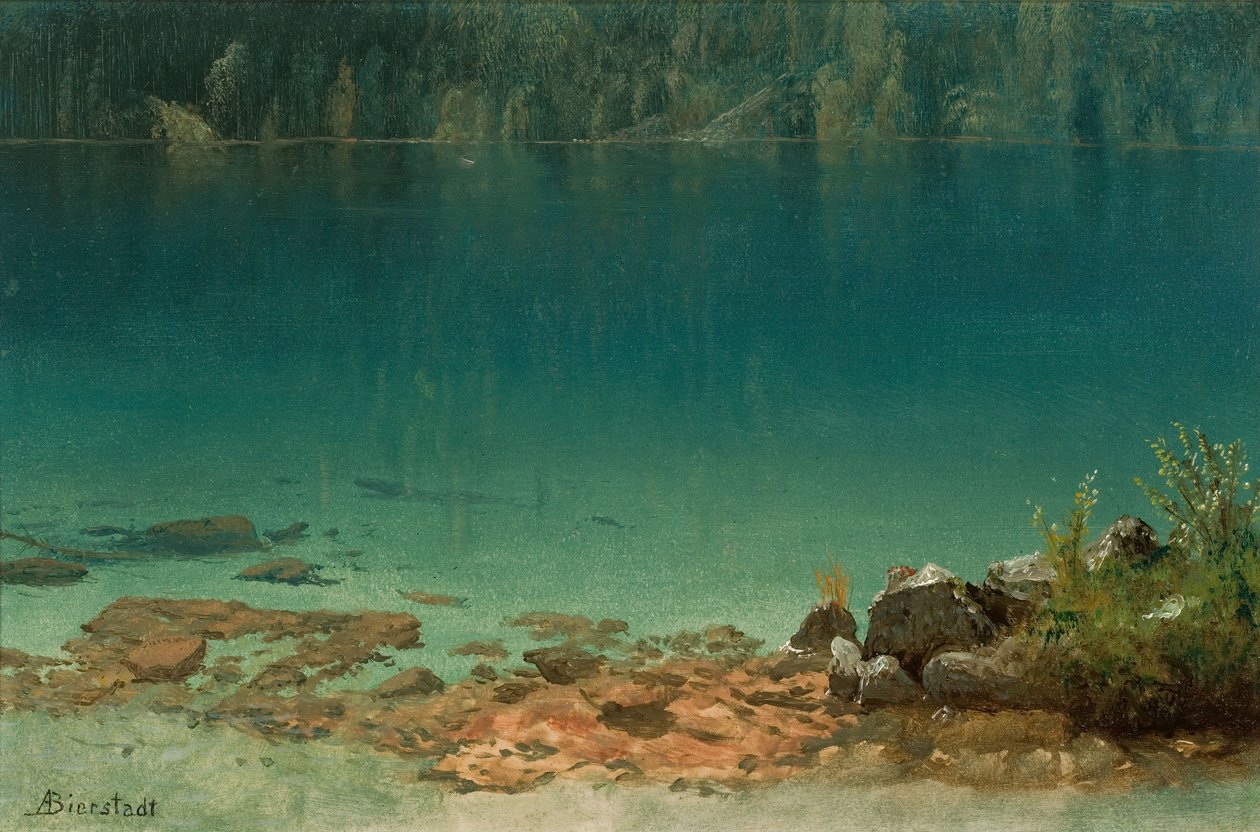 Tójelenet alkotó: Albert Bierstadt