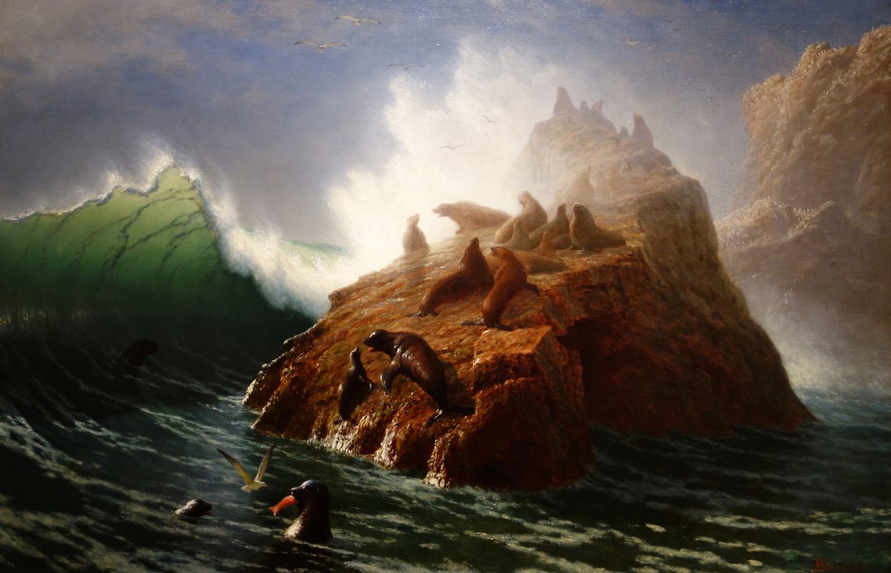 Seal Rock alkotó: Albert Bierstadt