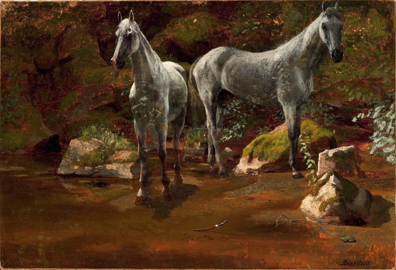 Tanulmány a vad lovakról alkotó: Albert Bierstadt