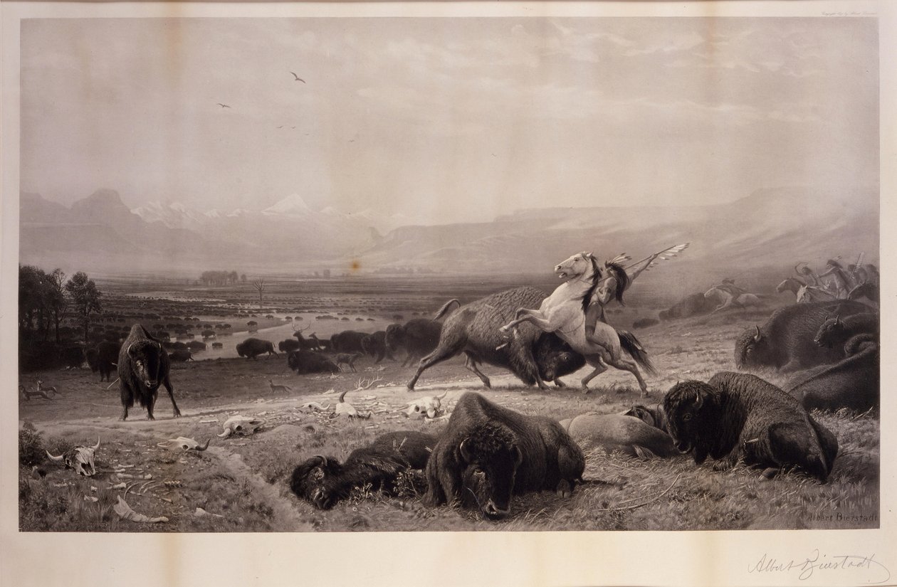 Az utolsó bölény alkotó: Albert Bierstadt