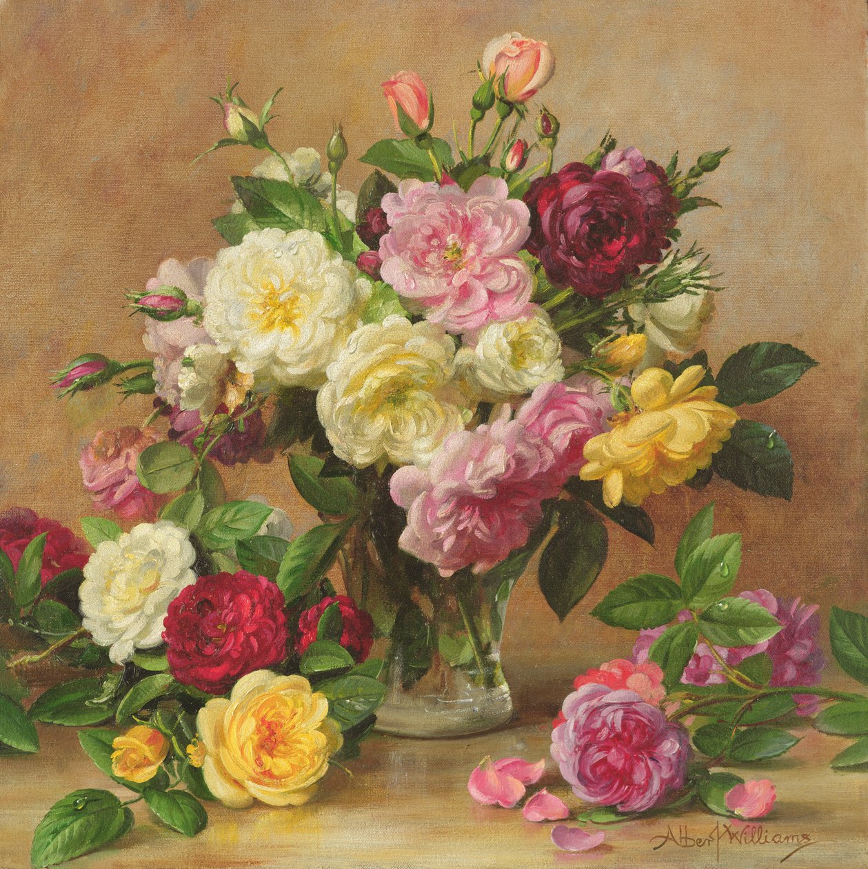 AB3052 régimódi viktoriánus rózsák, 1995 alkotó: Albert Williams