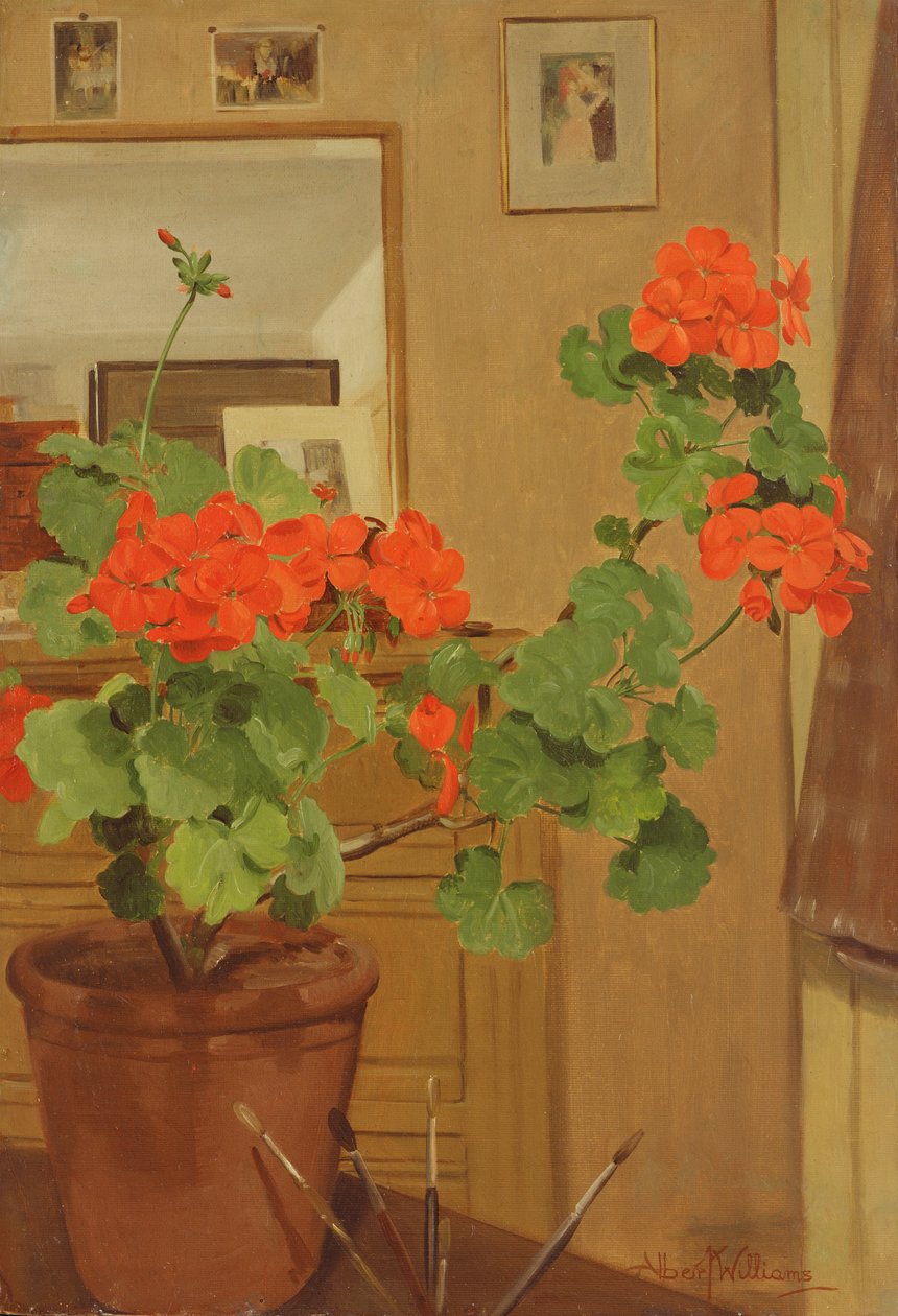AB319 Muskátlik egy stúdiósarokban, 1948-49 alkotó: Albert Williams