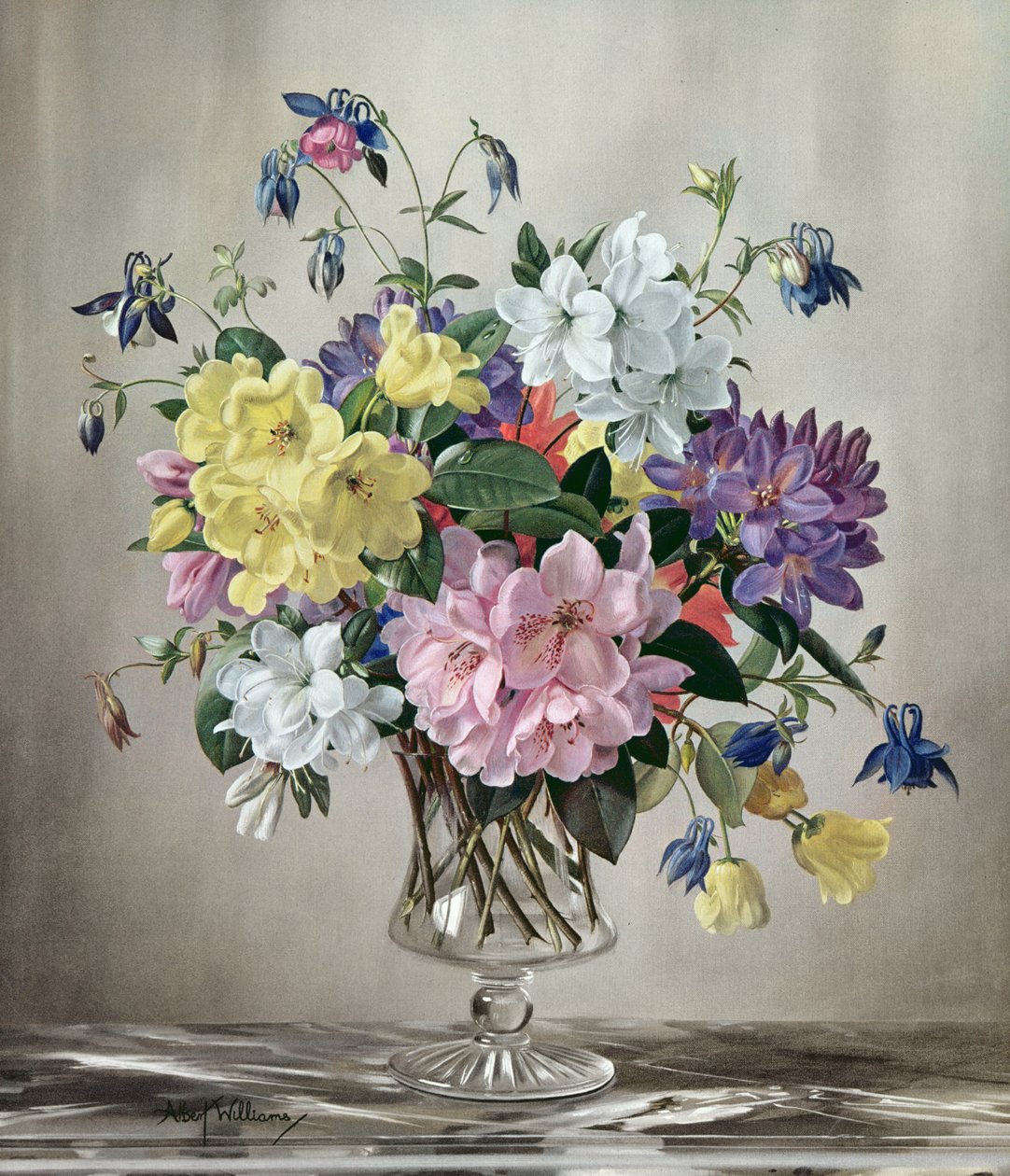PB/321 Rhododendronok, azáleák és columbine üvegvázában alkotó: Albert Williams