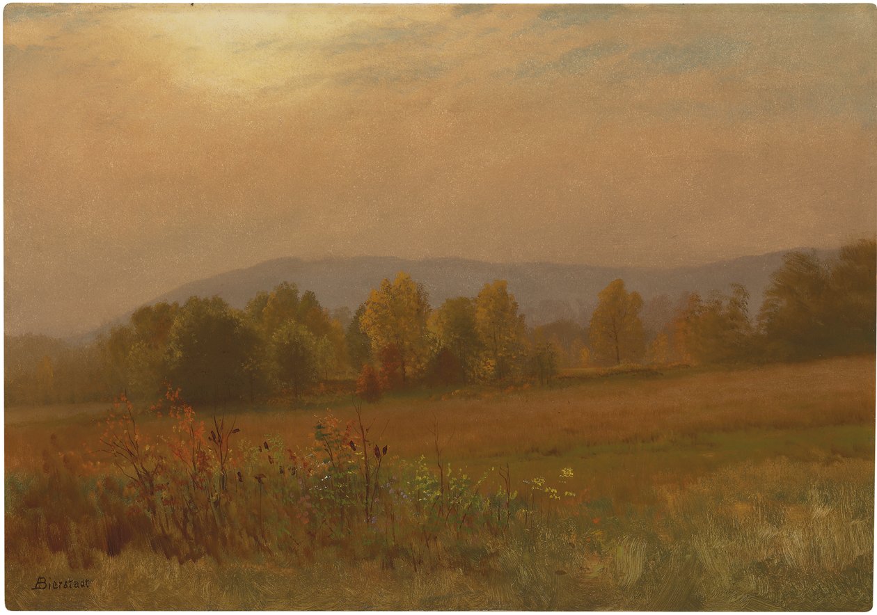 Őszi táj, New England (olaj, papír fektetve a fedélzetre) alkotó: Albert Bierstadt