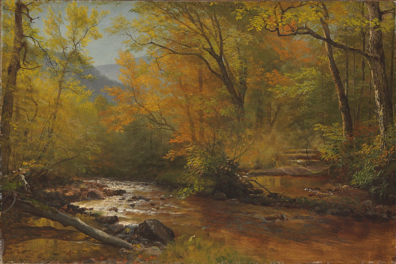 Patak az erdőben alkotó: Albert Bierstadt