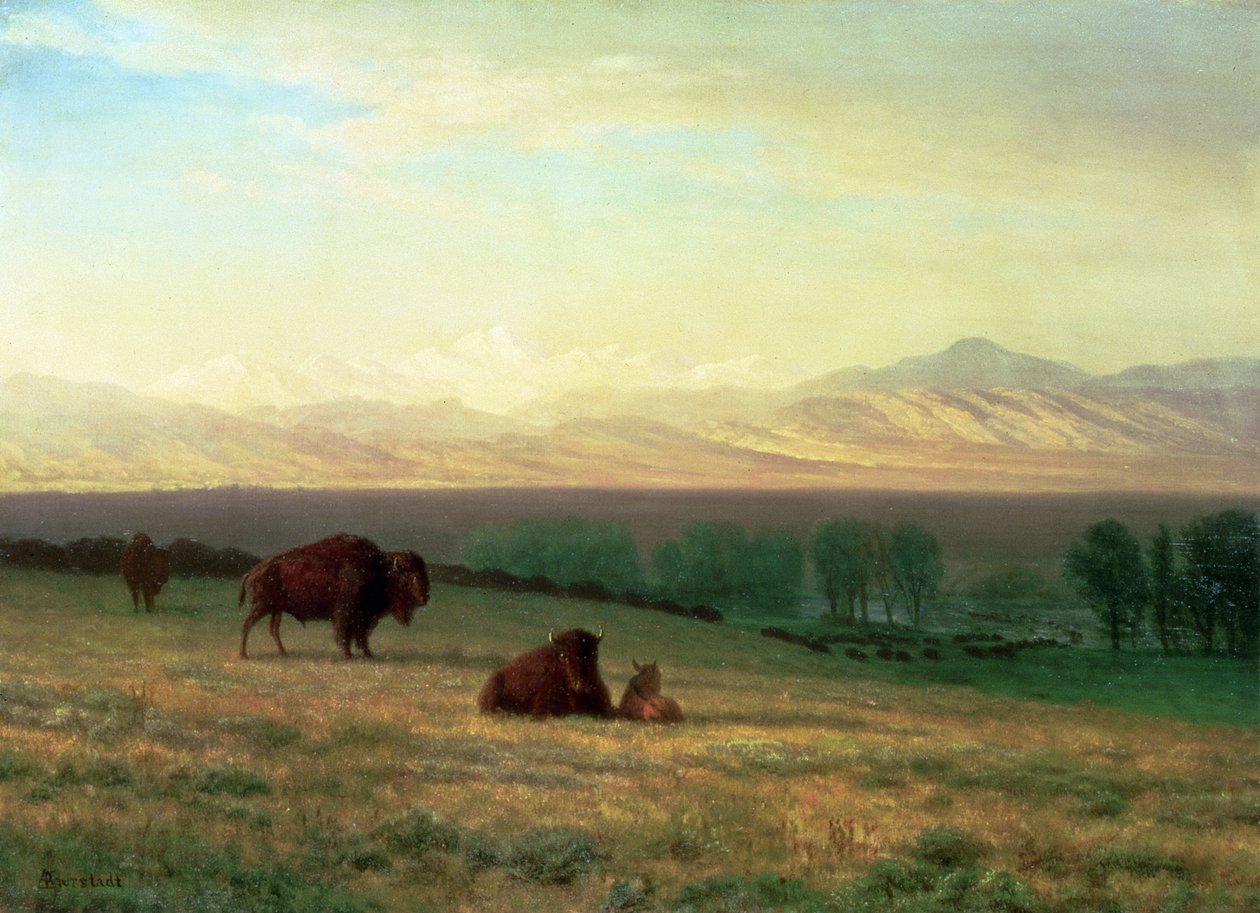 Bivaly a síkságon, 1890 körül alkotó: Albert Bierstadt