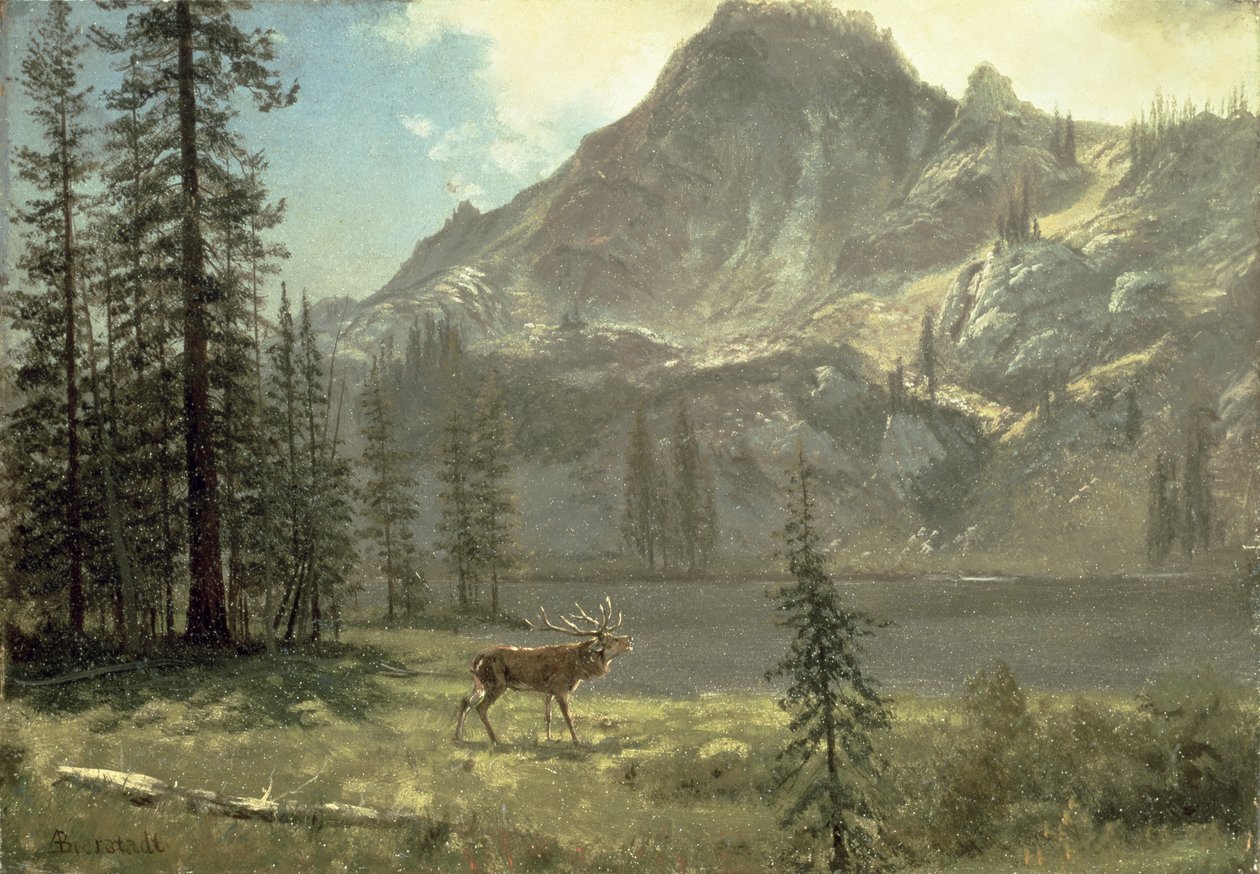 A vadon szava alkotó: Albert Bierstadt
