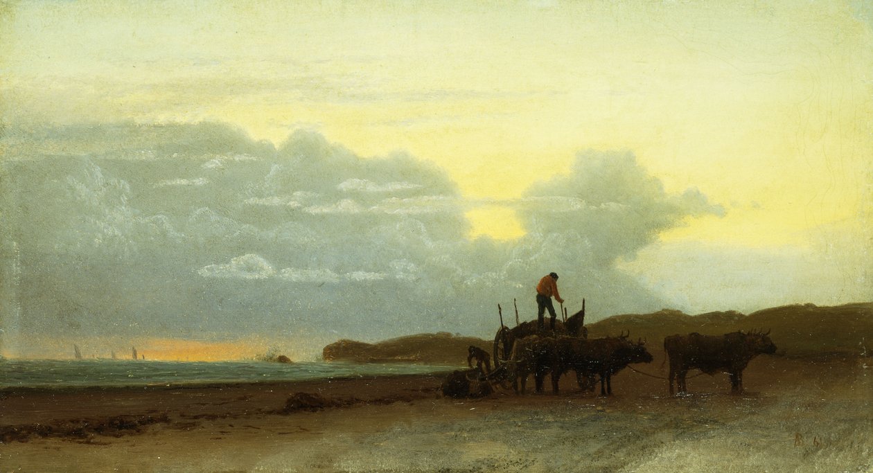 Coastal View, Newport, 1861 alkotó: Albert Bierstadt