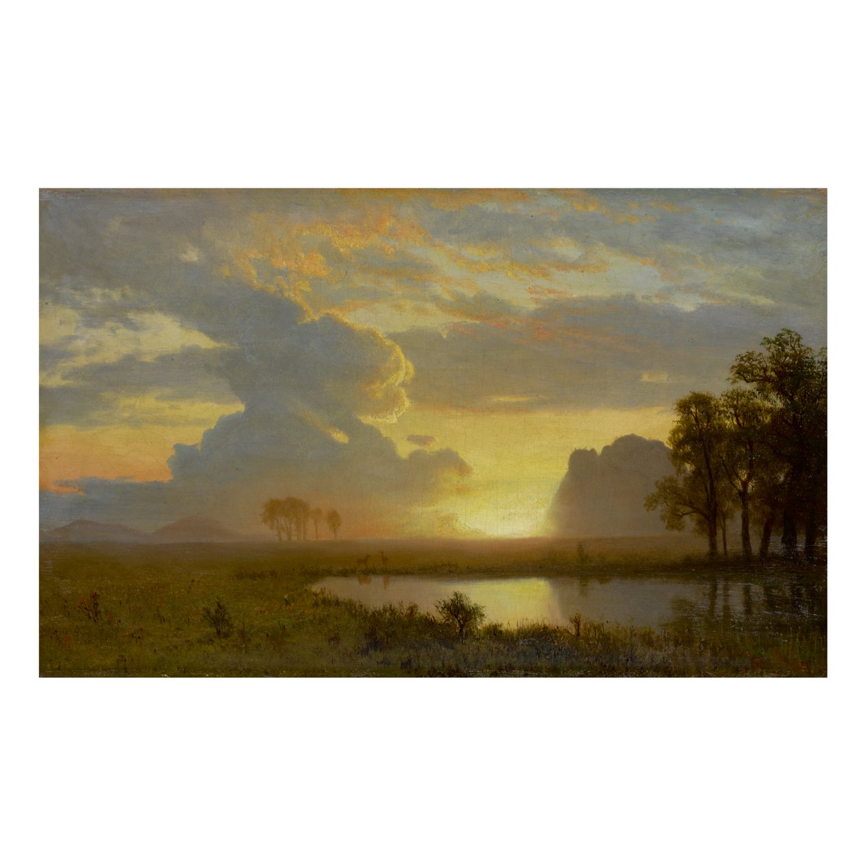 ESTES PARK, COLORADO alkotó: Albert Bierstadt