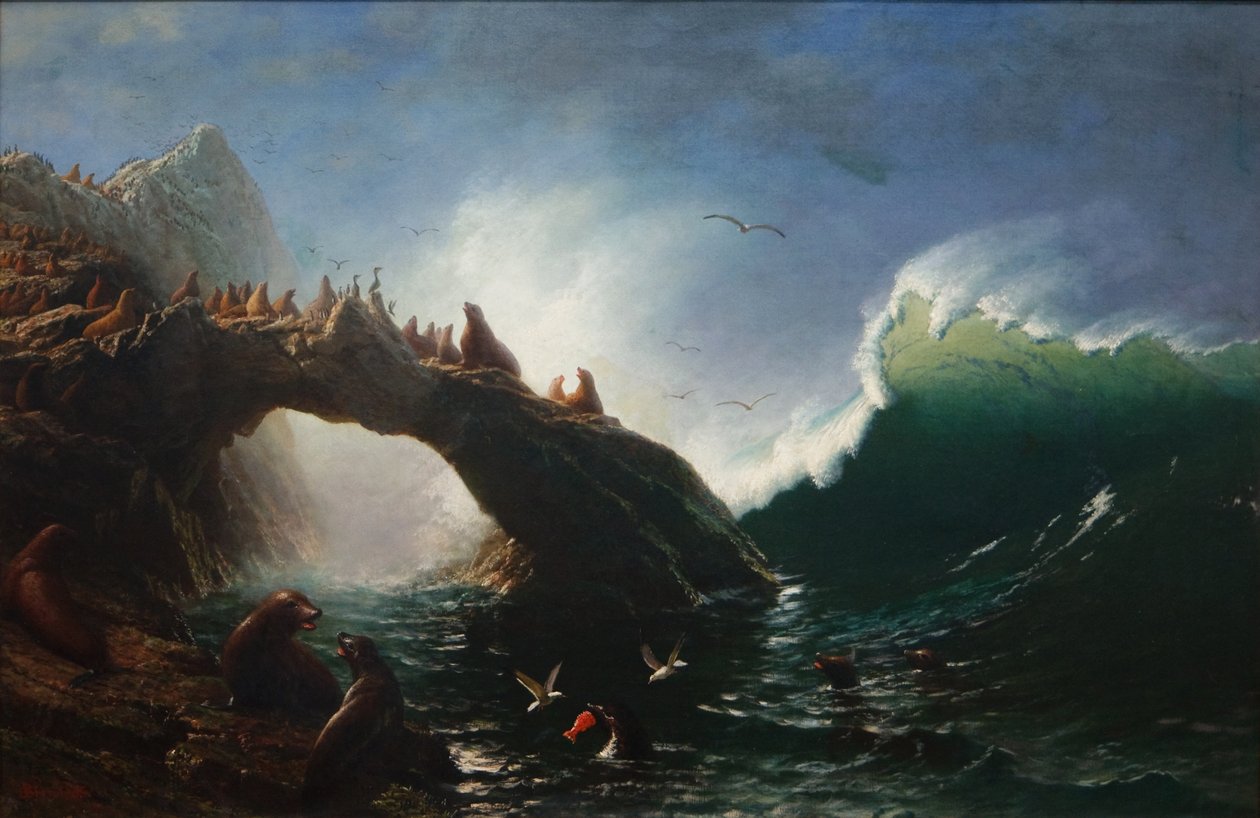 Farallon-sziget alkotó: Albert Bierstadt