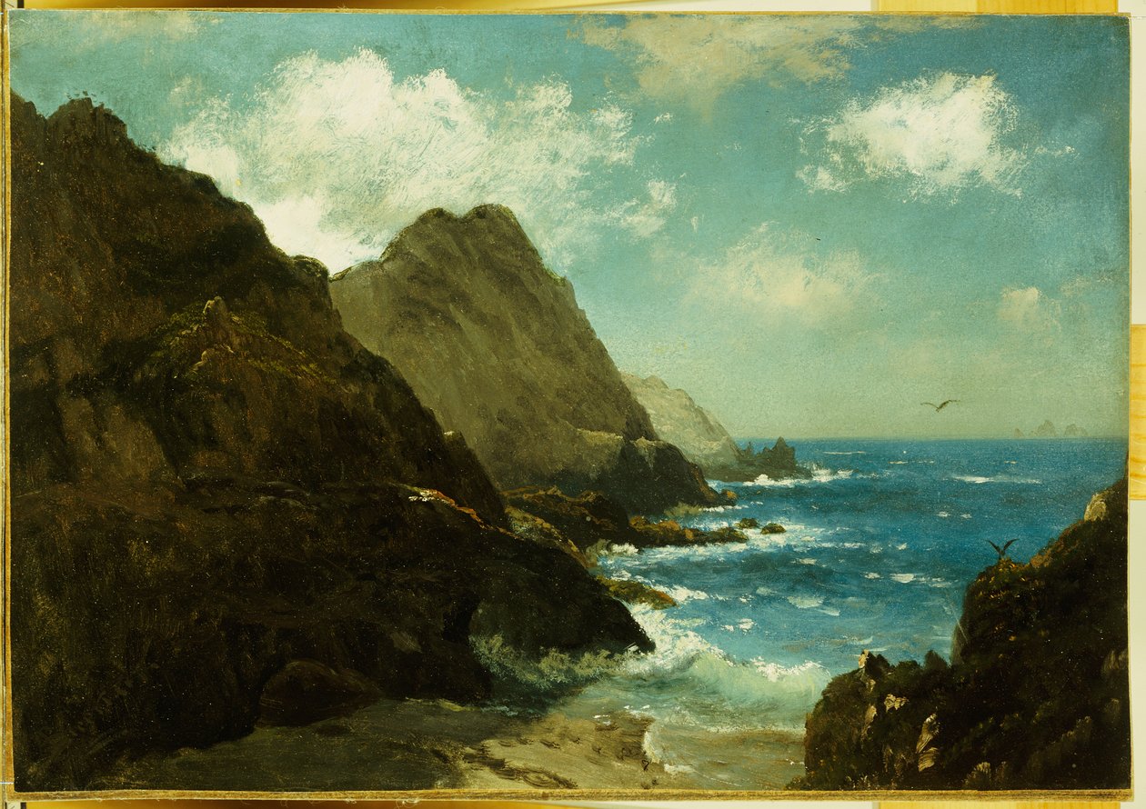 Farallon-szigetek alkotó: Albert Bierstadt