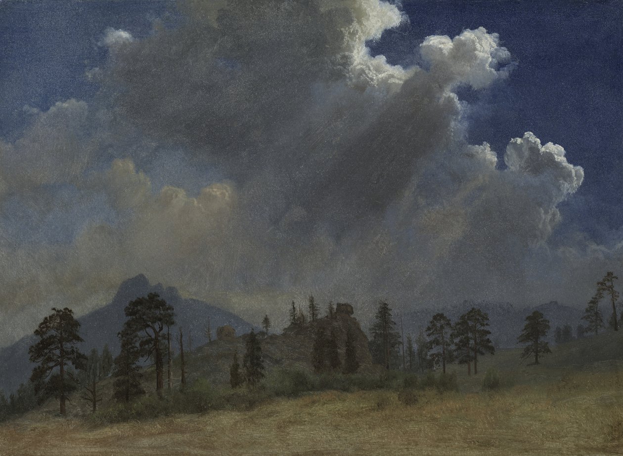 Fenyőfák és viharfelhők alkotó: Albert Bierstadt
