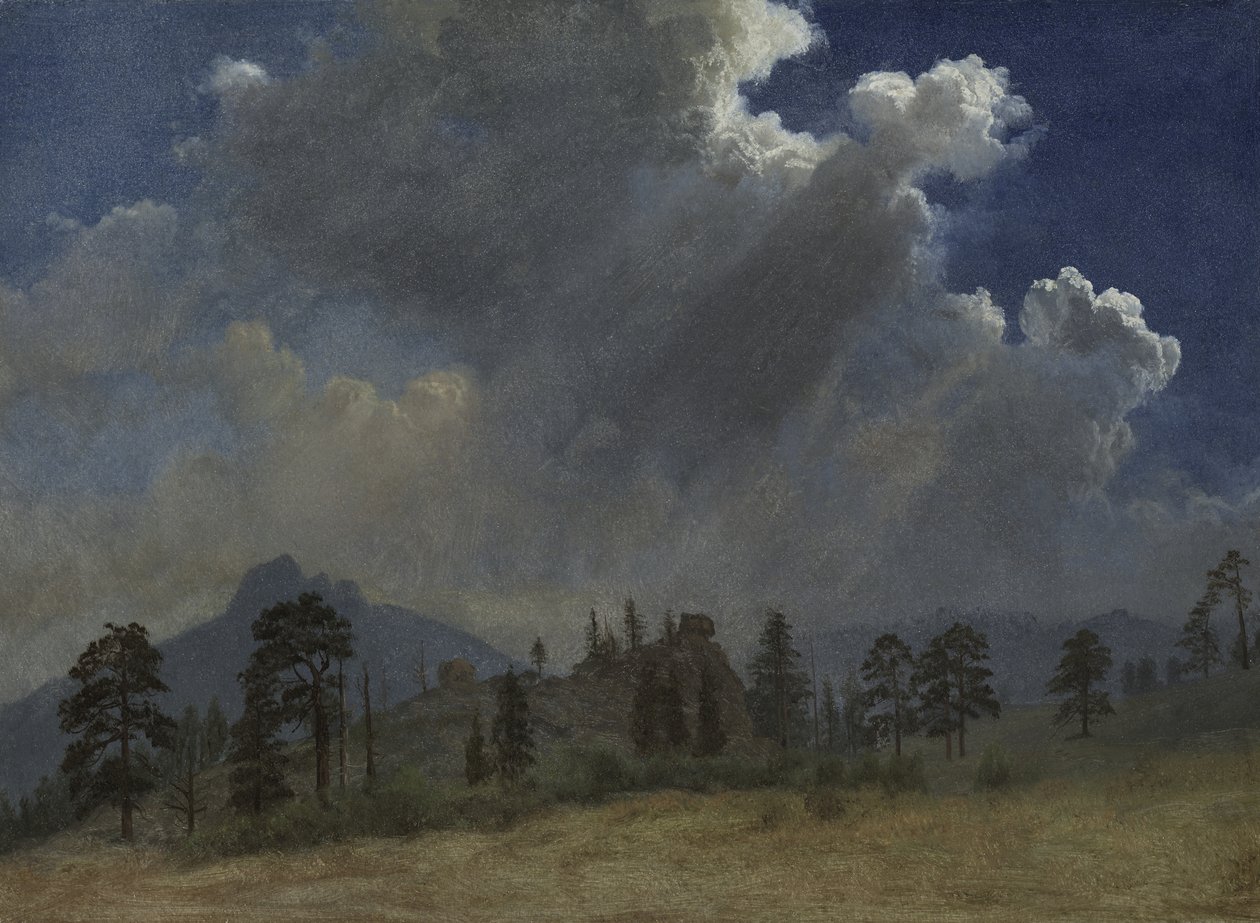 Fenyőfák és viharfelhők, 1870 körül (olaj, papír, vászonra montírozva) alkotó: Albert Bierstadt