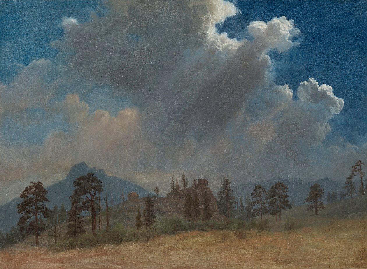 Fenyőfák és viharfelhők, c. 1870. alkotó: Albert Bierstadt