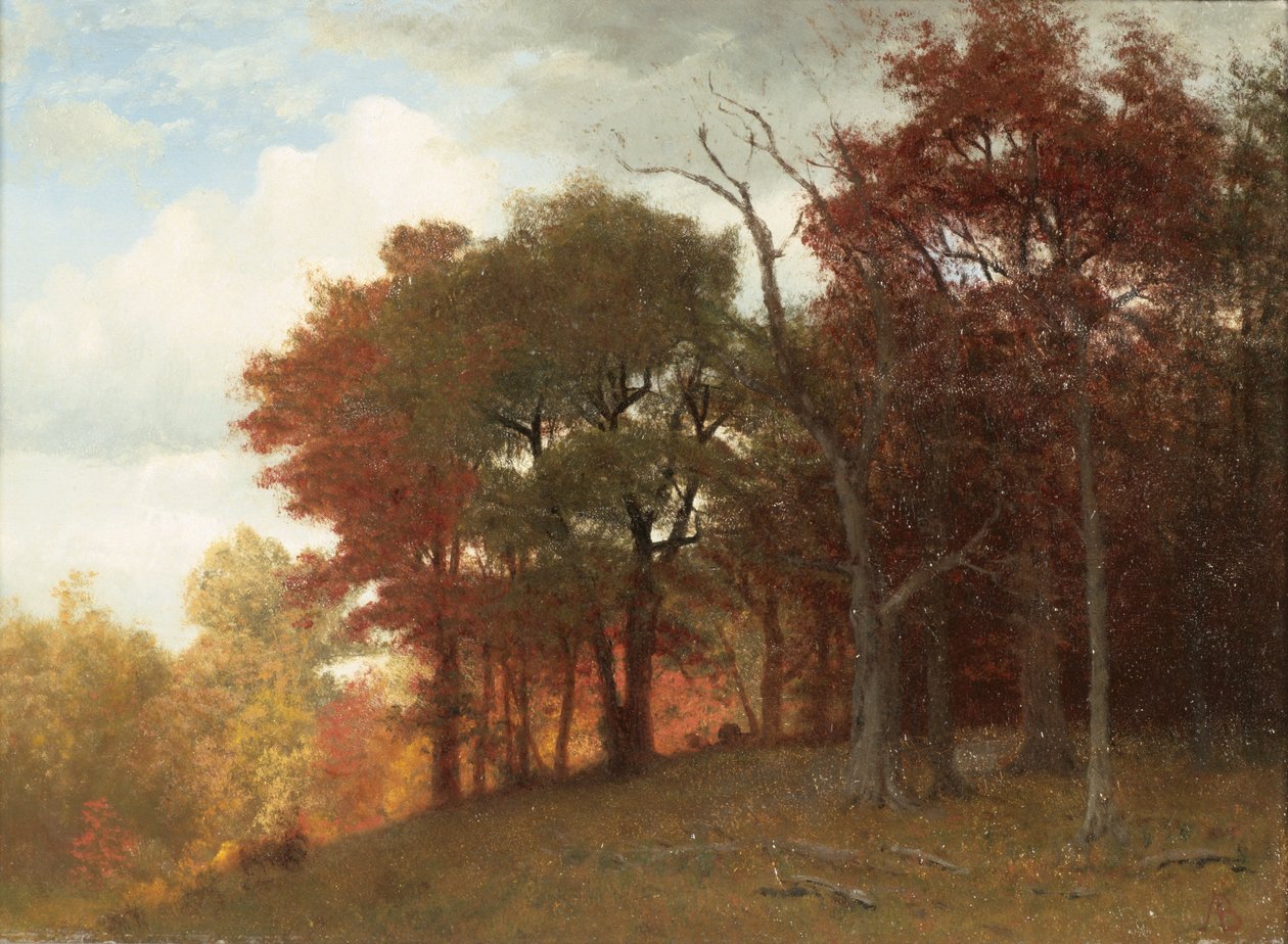 Hastings a Hudson folyón, 1865 (olaj, vászon) alkotó: Albert Bierstadt