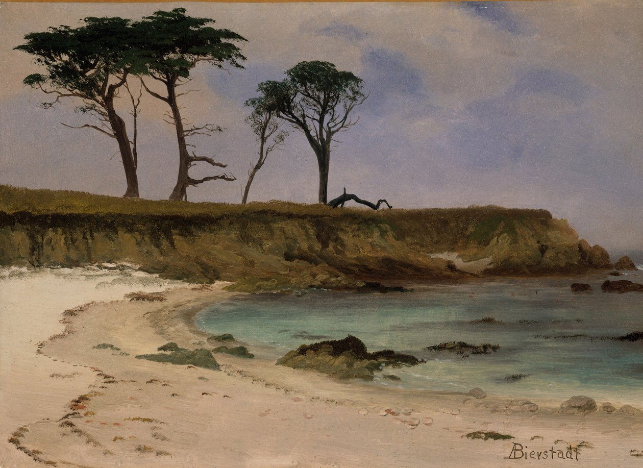 Sea Cove, 1880-90 körül (olaj, fa) alkotó: Albert Bierstadt