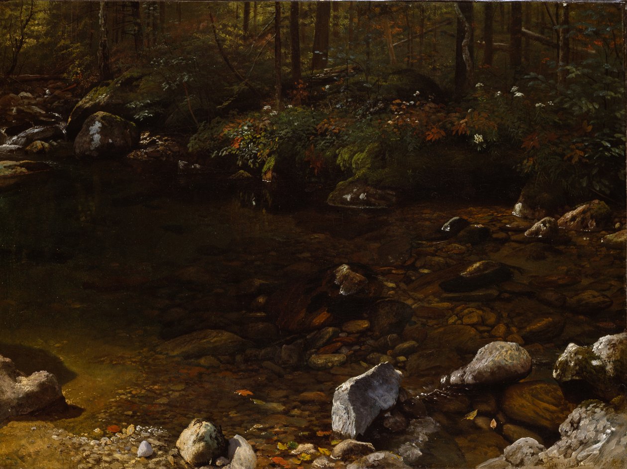 Árnyas tó, White Mountains, New Hampshire alkotó: Albert Bierstadt