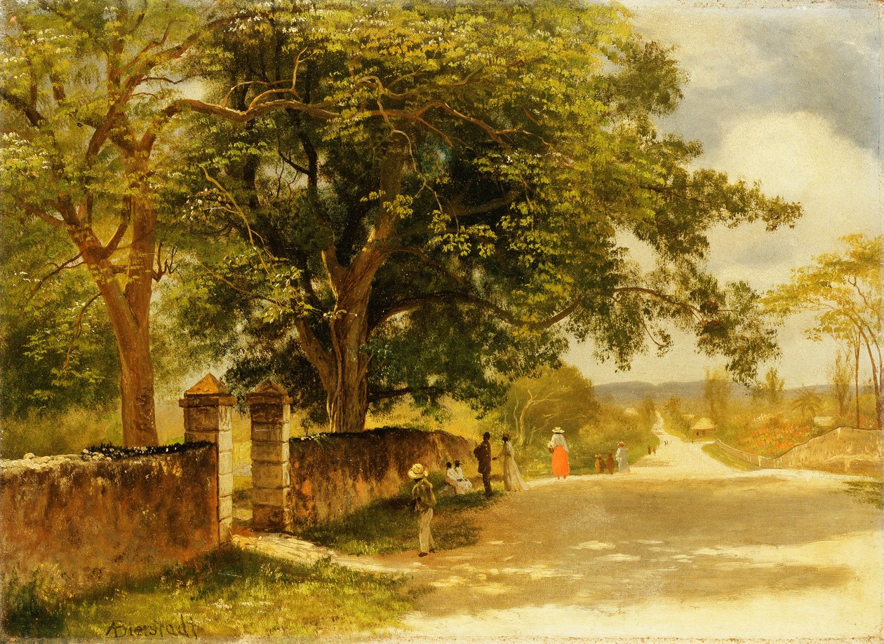 Utca Nassauban, 1878 körül alkotó: Albert Bierstadt