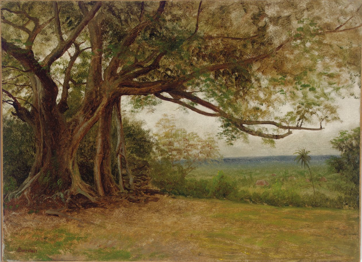Tanulmány a "Kolumbusz partraszállásához", 1892 alkotó: Albert Bierstadt