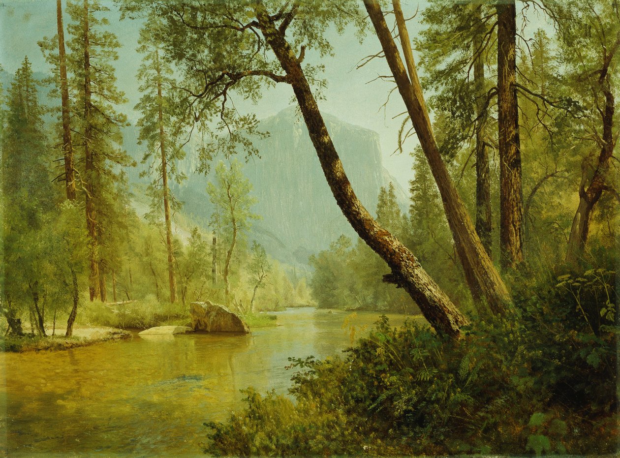 Napsütötte erdő alkotó: Albert Bierstadt