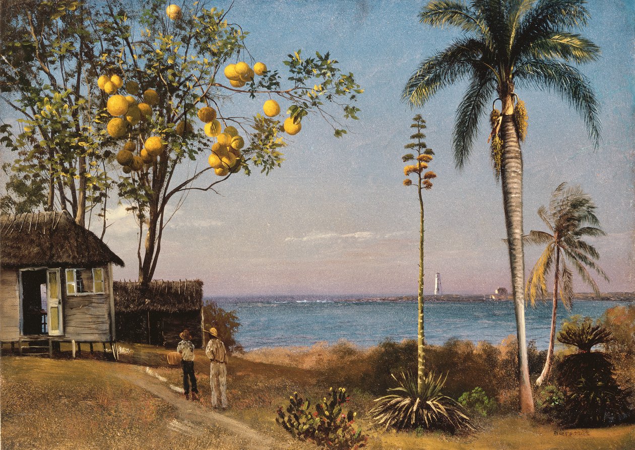 Trópusi jelenet alkotó: Albert Bierstadt