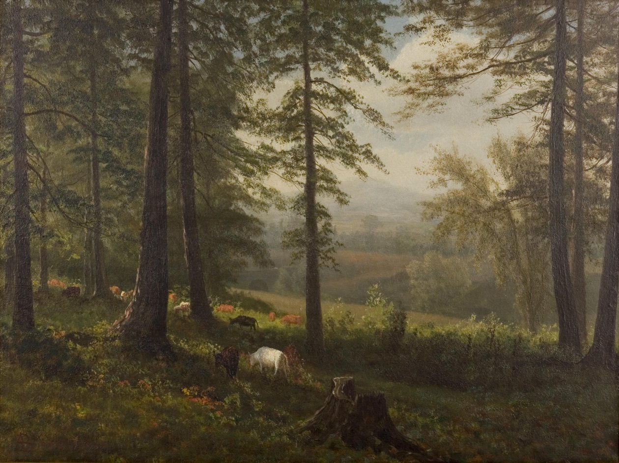 Kilátás egy tisztásra alkotó: Albert Bierstadt