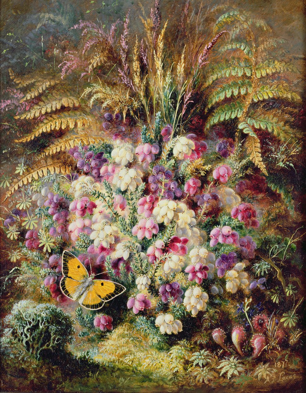 Bell Heather, 1877 alkotó: Albert Durer Lucas
