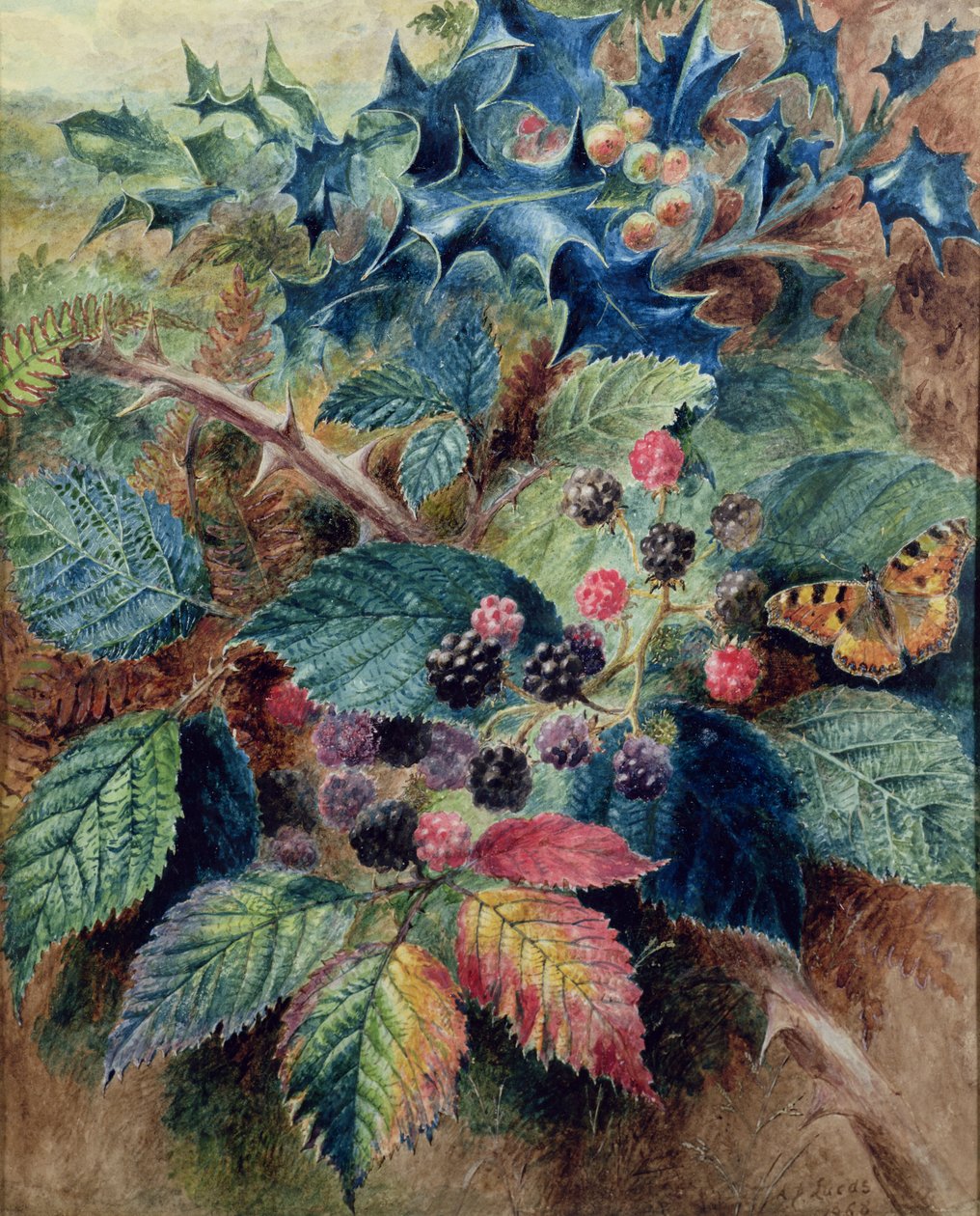 Szeder és magyal pillangóval alkotó: Albert Durer Lucas