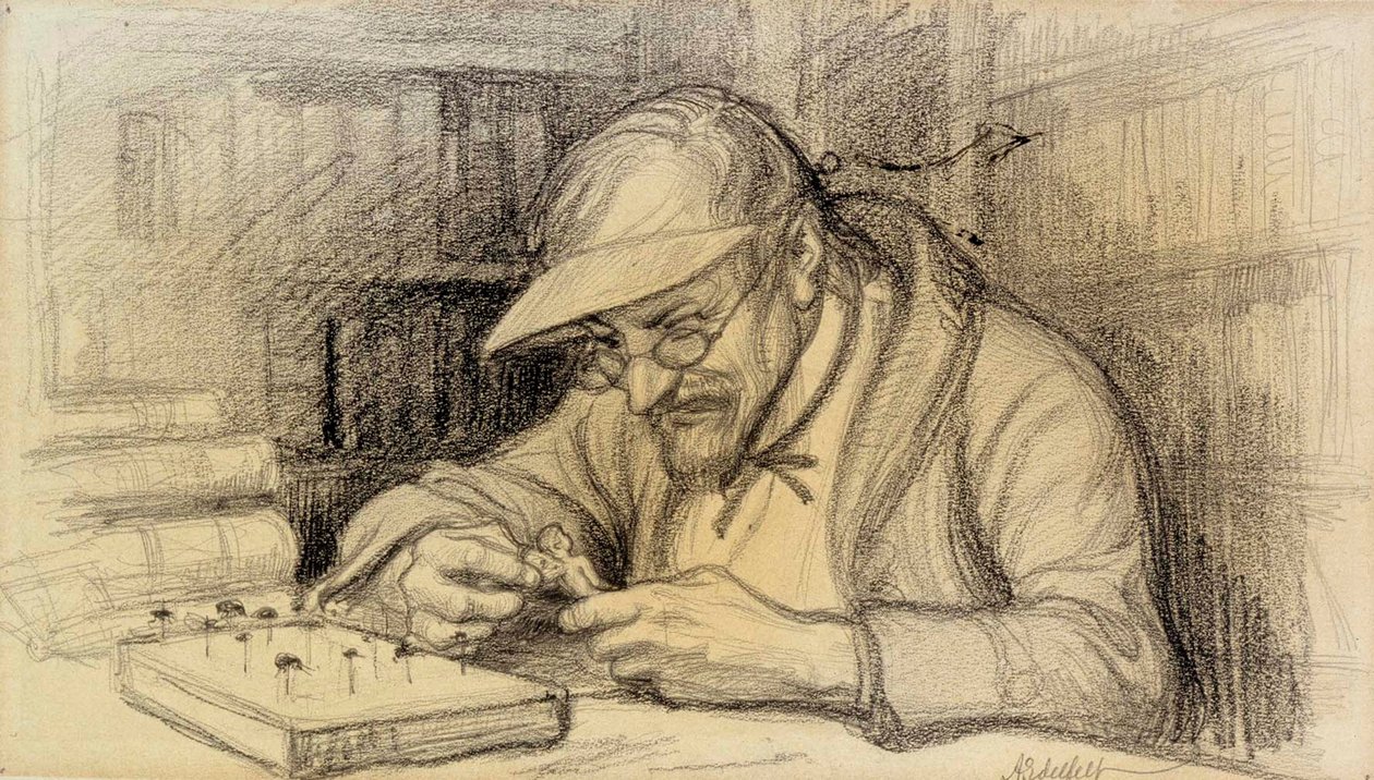 A kis zseni illusztrációja alkotó: Albert Edelfelt