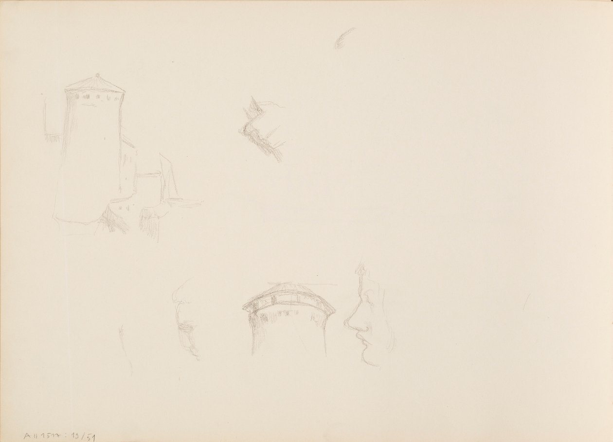 Növénytervek, Savonlinna torony alkotó: Albert Edelfelt