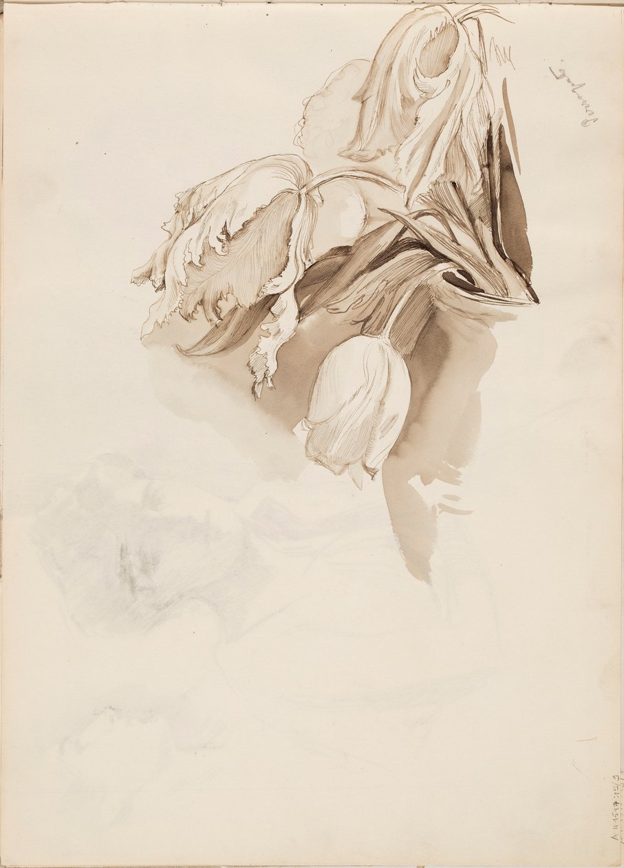 Tulipánok alkotó: Albert Edelfelt