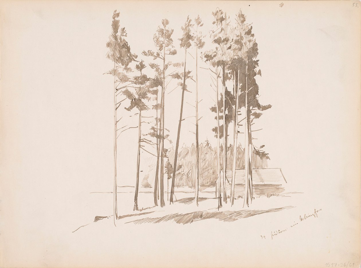 Cím nélkül alkotó: Albert Edelfelt