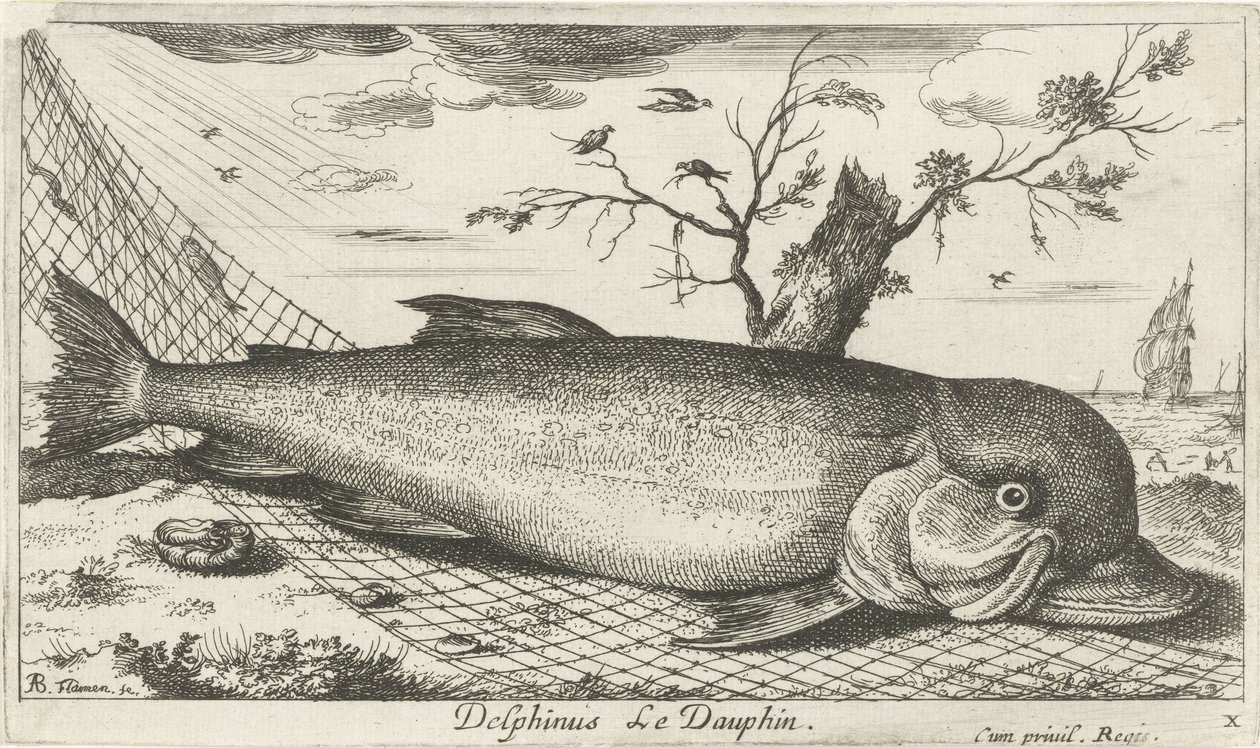 Delfin a halászhálóban Delphinus Le Dauphin. (cím a tárgyon) Halak és más tengeri lények – sósvízi harmadik sorozat (sorozat címe) Poissons de mer (sorozat címe) alkotó: Albert Flamen