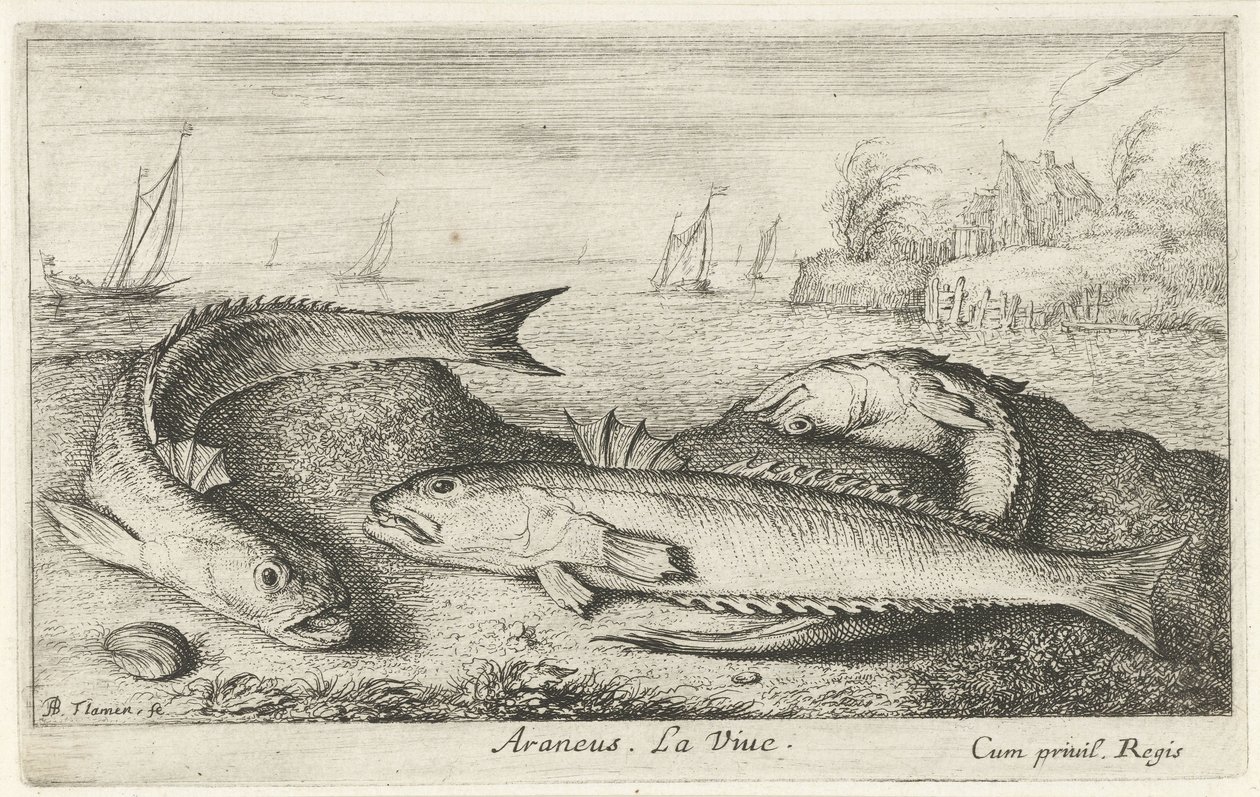Három pöttyös szőke a parton Araneus. LaVie. (cím a tárgyon) Halak és más tengeri élőlények – sósvízi második sorozat (sorozat címe) Poissons de mer (sorozat címe) alkotó: Albert Flamen