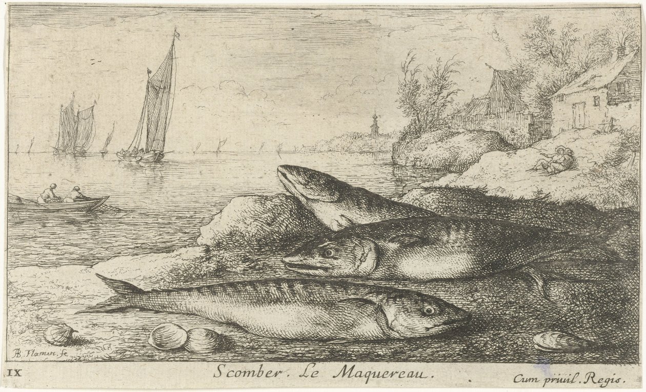 Három makréla a tengerparton Scomber. Le Maquereau. (cím a tárgyon) Halak és más tengeri élőlények – sósvízi első sorozat (sorozat címe) Diverse Especes de Poissons de mer (sorozat címe) alkotó: Albert Flamen
