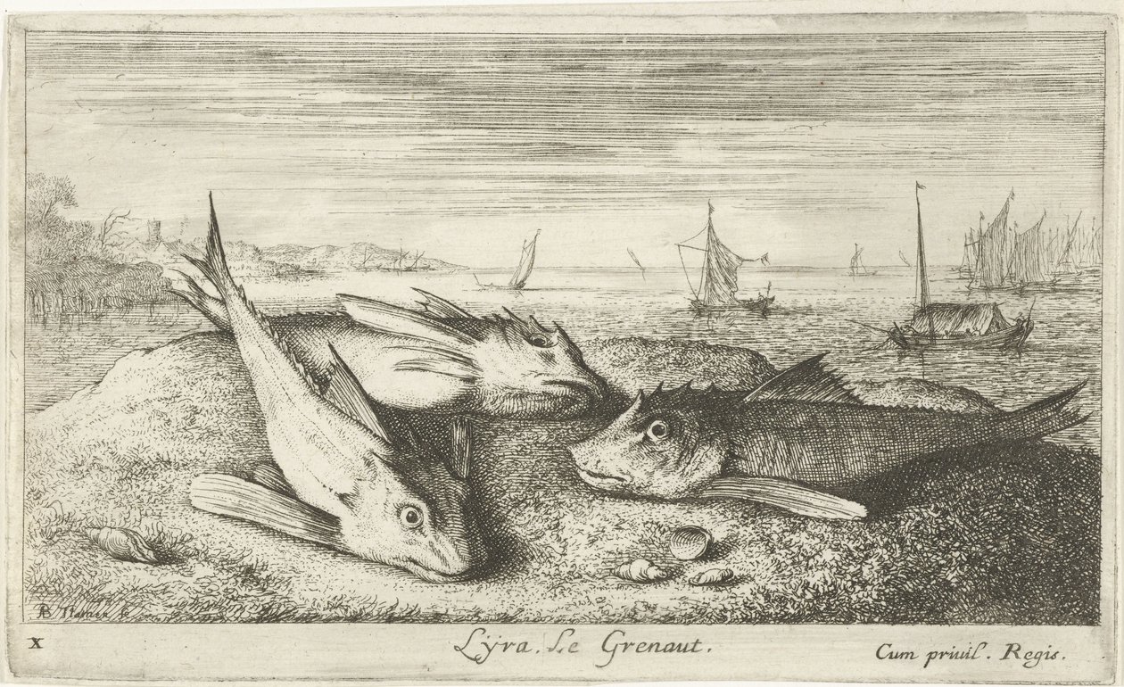 Három sós vízi hal a tengerparton Lyta, Le grenaut. (cím a tárgyon) Halak és más tengeri élőlények – sósvízi első sorozat (sorozat címe) Diverse Especes de Poissons de mer (sorozat címe) alkotó: Albert Flamen
